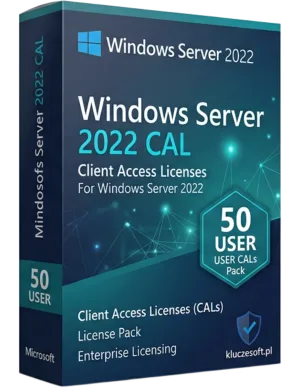 Microsoft Windows Server 2022 50 CAL Użytkownika