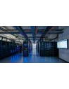 Microsoft Windows Server 2022 50 Device CAL