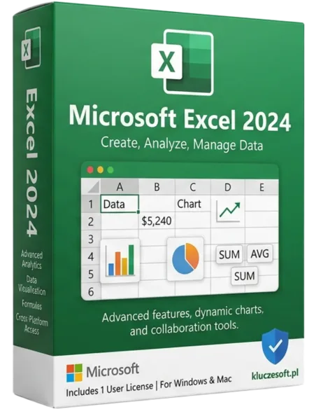Microsoft Excel 2024