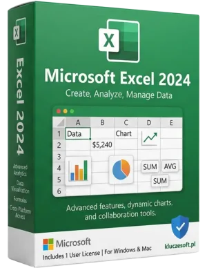 Microsoft Excel 2024