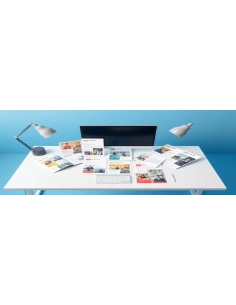 Microsoft 365 Business Standard — 12 Miesięcy