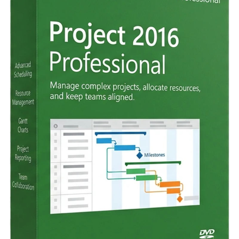 Microsoft Project 2016 Professional