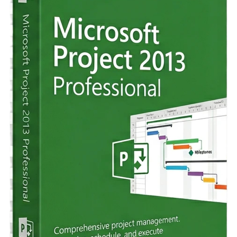Microsoft Project 2013 Professional