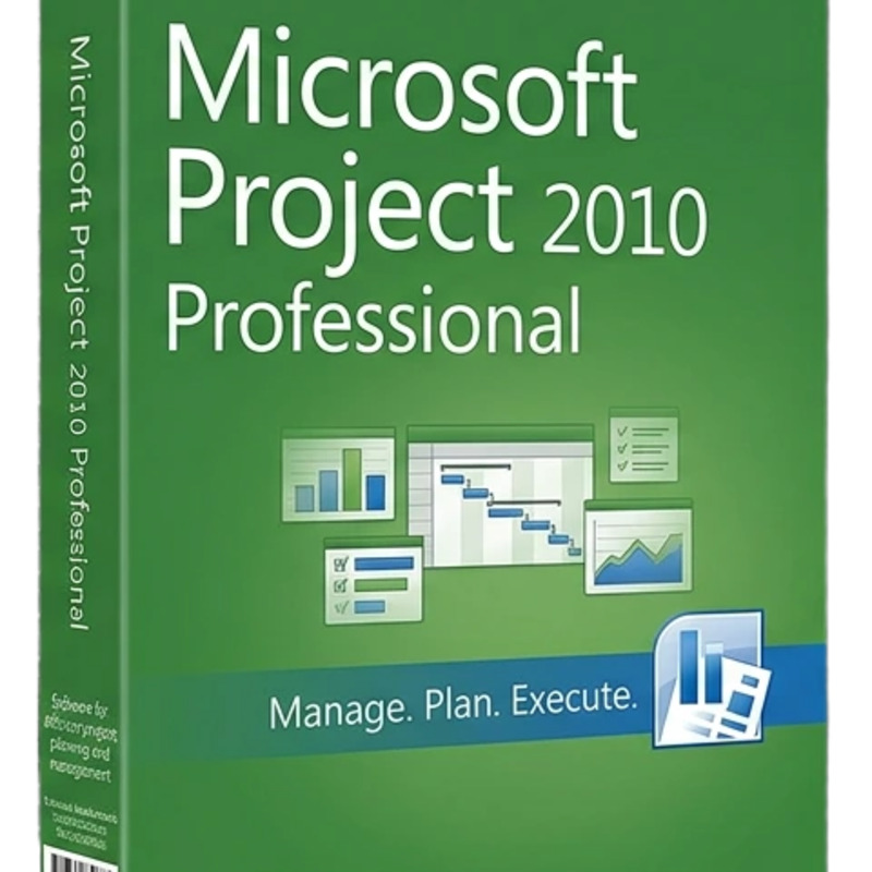 Microsoft Project 2010 Professional