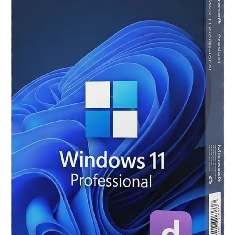 Microsoft Windows 11 Professional