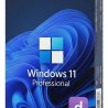 Microsoft Windows 11 Professional
