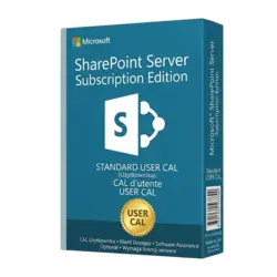 Microsoft SharePoint Server SE Standard CAL Użytkownika – klucz licencyjny z fakturą VAT 23%