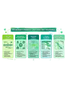 Microsoft Project 2019 Professional