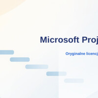 Microsoft Project 2019