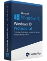Windows 10 Pro