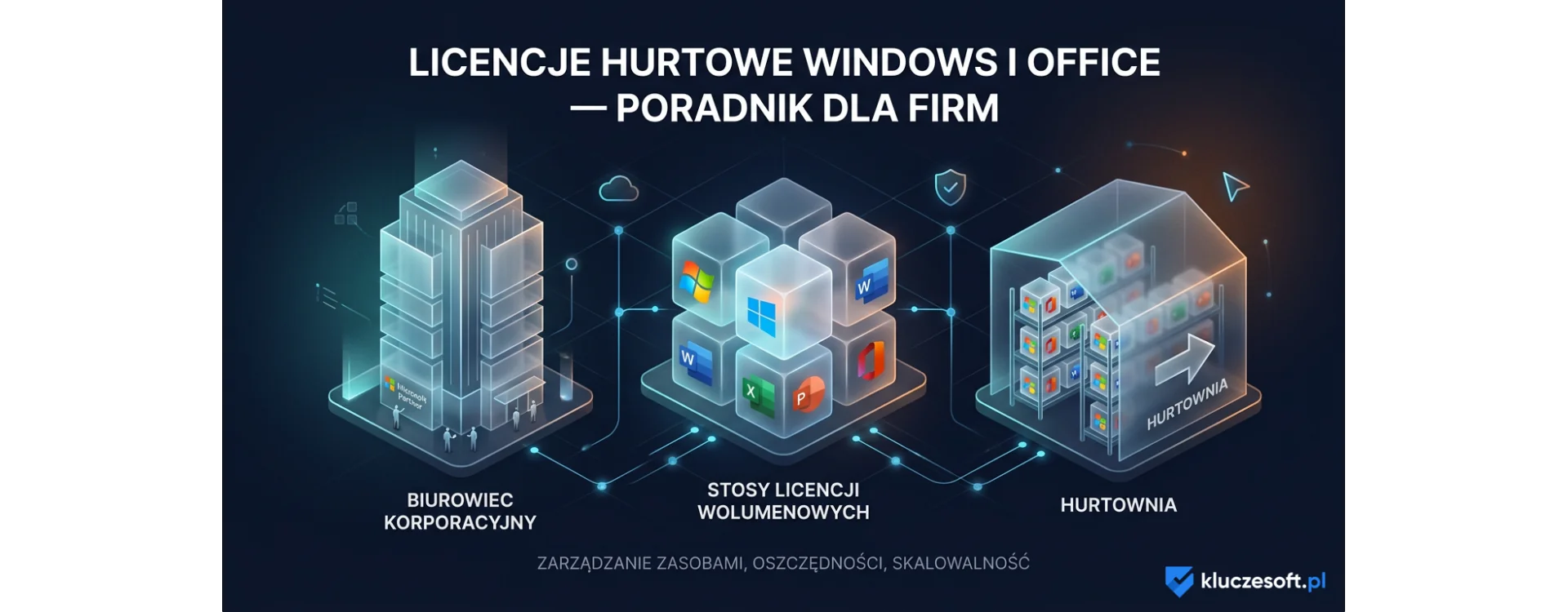 Licencje hurtowe Windows i Office — poradnik dla firm i resellerów