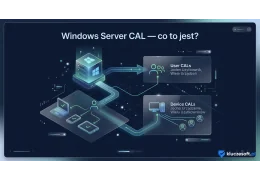 Windows Server CAL — co to jest i jaką licencję wybrać?