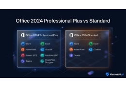 Office 2024 Professional Plus vs Standard — które wybrać?