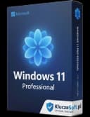 Microsoft Windows 11 Professional