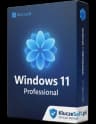 Microsoft Windows 11 Professional