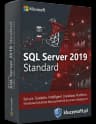 Microsoft SQL Server 2019 Standard 24 Core