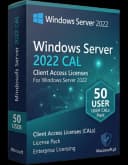 Microsoft Windows Server 2022 50 User CAL